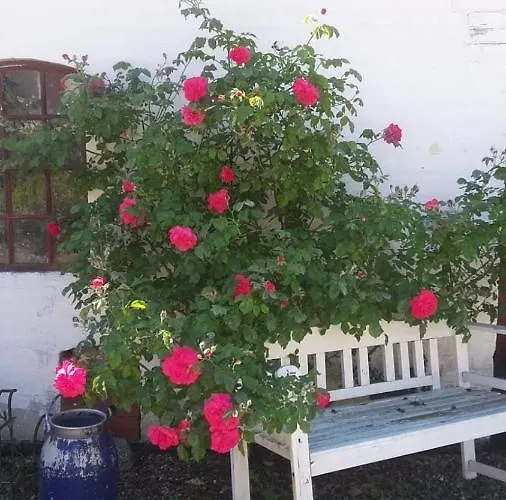 דירה Ferie Skovby Fyn